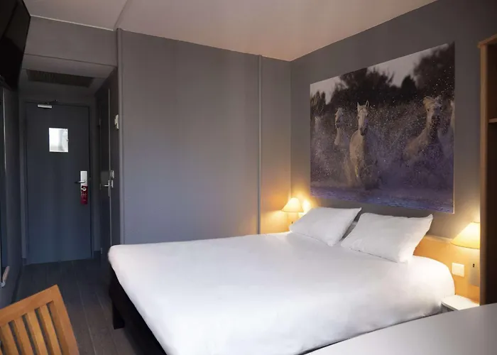 Ibis Arles